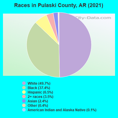 Races in Pulaski County, AR (2019)