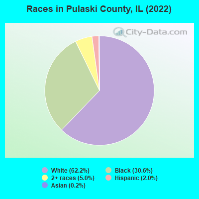 Races in Pulaski County, IL (2022)