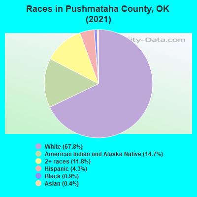 Races in Pushmataha County, OK (2022)