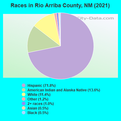 Races in Rio Arriba County, NM (2021)