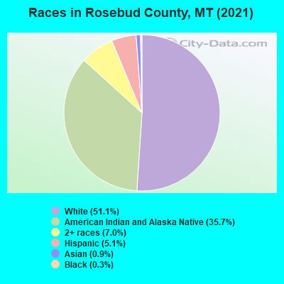 Races in Rosebud County, MT (2022)
