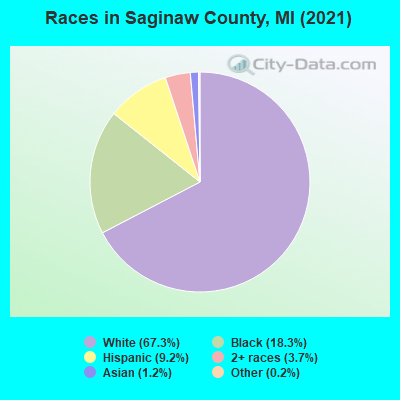 Races in Saginaw County, MI (2021)