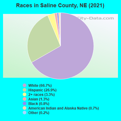 Races in Saline County, NE (2022)