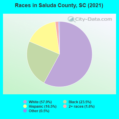 Races in Saluda County, SC (2021)