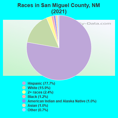 Races in San Miguel County, NM (2019)