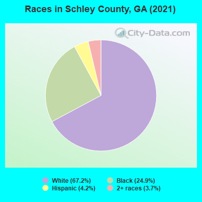 Races in Schley County, GA (2019)