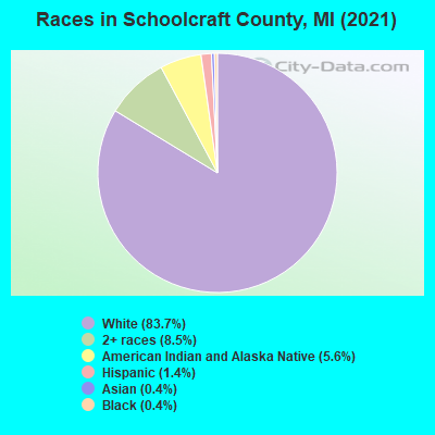 Races in Schoolcraft County, MI (2022)