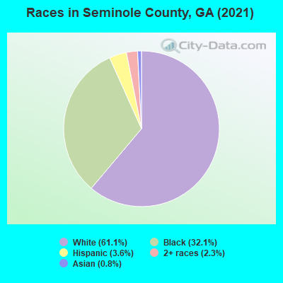 Races in Seminole County, GA (2019)
