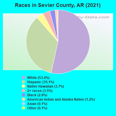 Races in Sevier County, AR (2019)