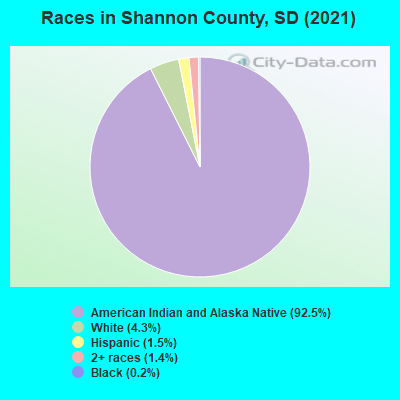 Races in Shannon County, SD (2019)