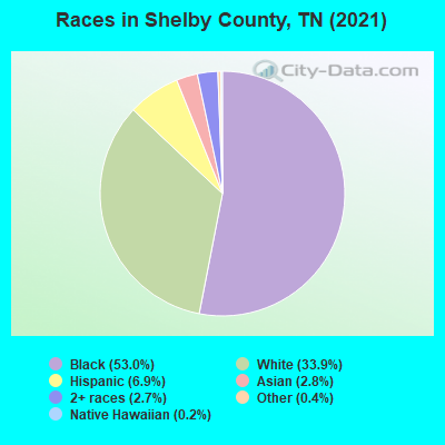 Races in Shelby County, TN (2019)