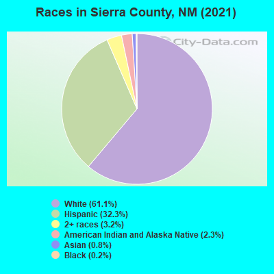 Races in Sierra County, NM (2019)