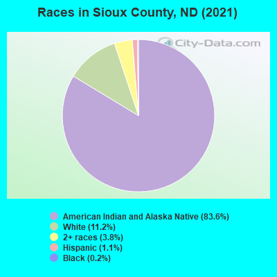 Races in Sioux County, ND (2019)