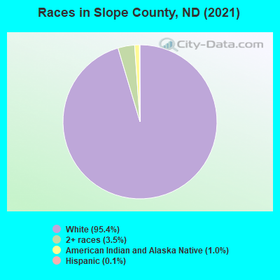 Races in Slope County, ND (2019)