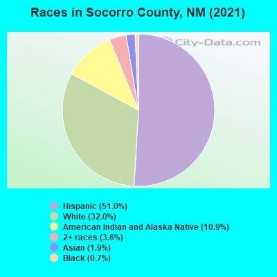 Races in Socorro County, NM (2021)