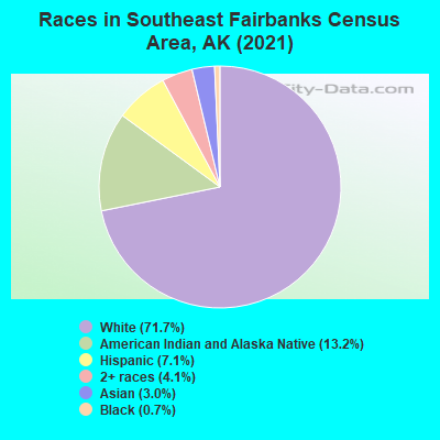 Races in Southeast Fairbanks Census Area, AK (2022)