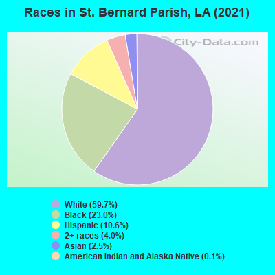 Races in St. Bernard Parish, LA (2019)