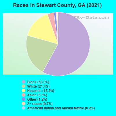 Races in Stewart County, GA (2022)