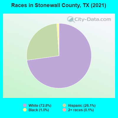 Races in Stonewall County, TX (2019)