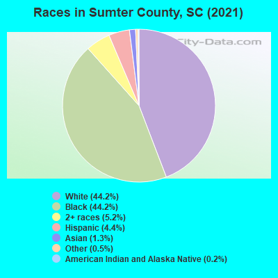 Races in Sumter County, SC (2021)