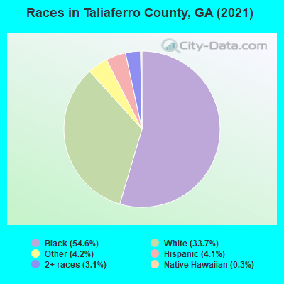 Races in Taliaferro County, GA (2022)