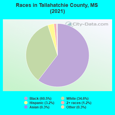 Races in Tallahatchie County, MS (2022)
