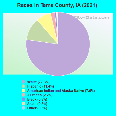 Races in Tama County, IA (2022)