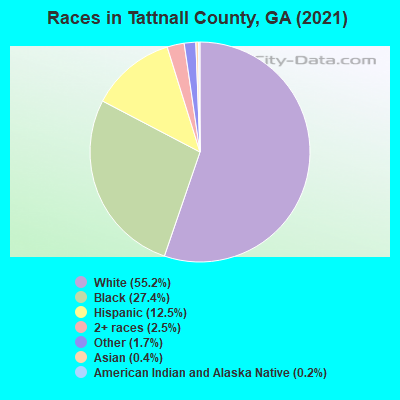 Races in Tattnall County, GA (2019)