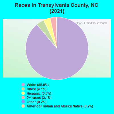 Races in Transylvania County, NC (2021)