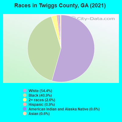 Races in Twiggs County, GA (2022)