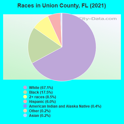 Races in Union County, FL (2022)