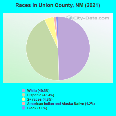 Races in Union County, NM (2021)