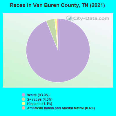 Races in Van Buren County, TN (2022)