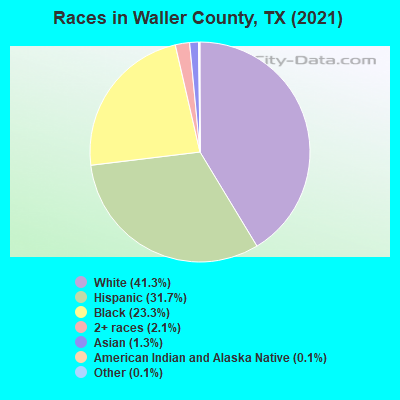 Races in Waller County, TX (2022)