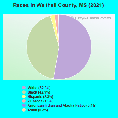 Races in Walthall County, MS (2022)