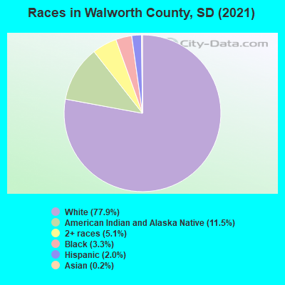 Races in Walworth County, SD (2019)