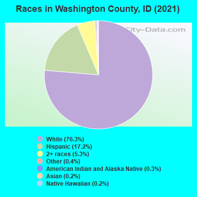 Races in Washington County, ID (2022)