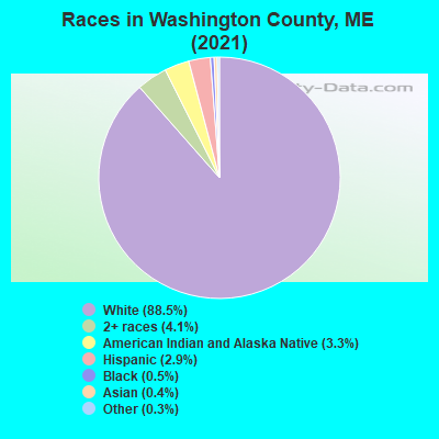 Races in Washington County, ME (2022)