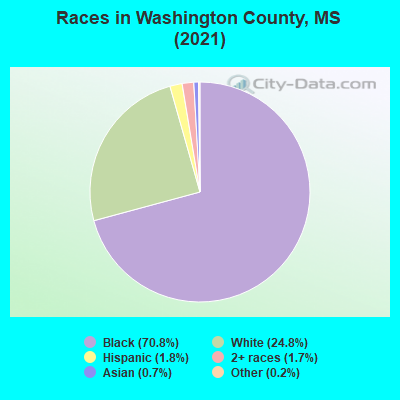 Races in Washington County, MS (2022)