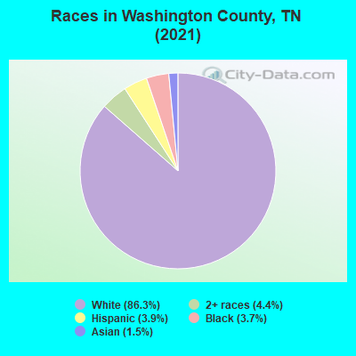Races in Washington County, TN (2022)