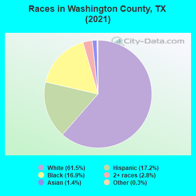 Races in Washington County, TX (2021)