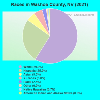 Races in Washoe County, NV (2021)