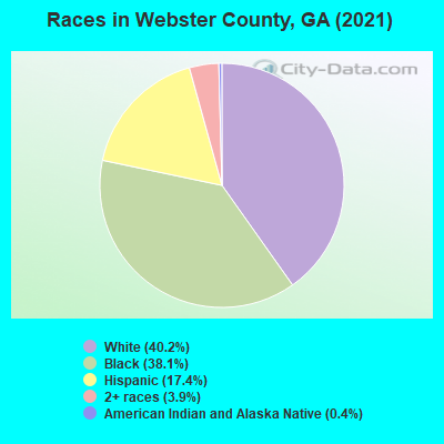 Races in Webster County, GA (2021)