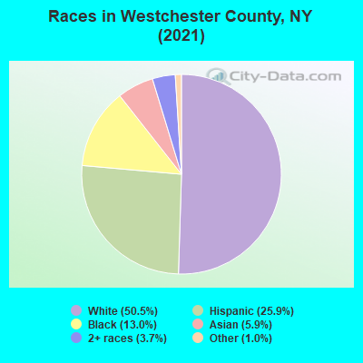 Races in Westchester County, NY (2019)