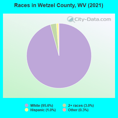 Races in Wetzel County, WV (2022)