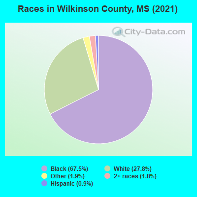 Races in Wilkinson County, MS (2022)