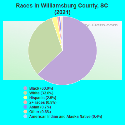 Races in Williamsburg County, SC (2022)