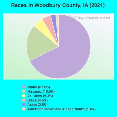 Races in Woodbury County, IA (2022)