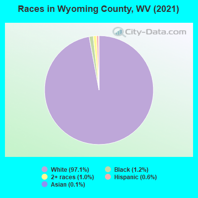 Races in Wyoming County, WV (2022)