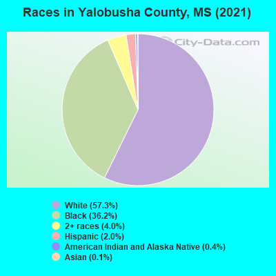 Races in Yalobusha County, MS (2022)